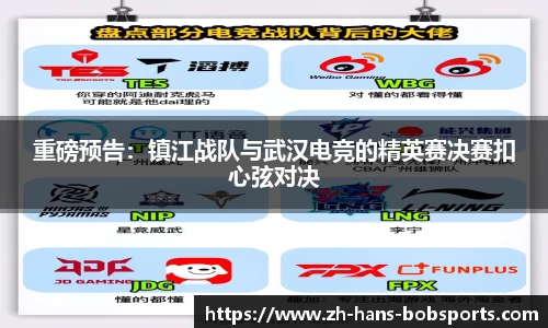 BOB半岛体育官方网站