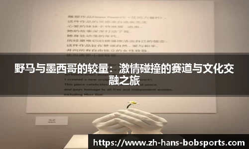 野马与墨西哥的较量：激情碰撞的赛道与文化交融之旅